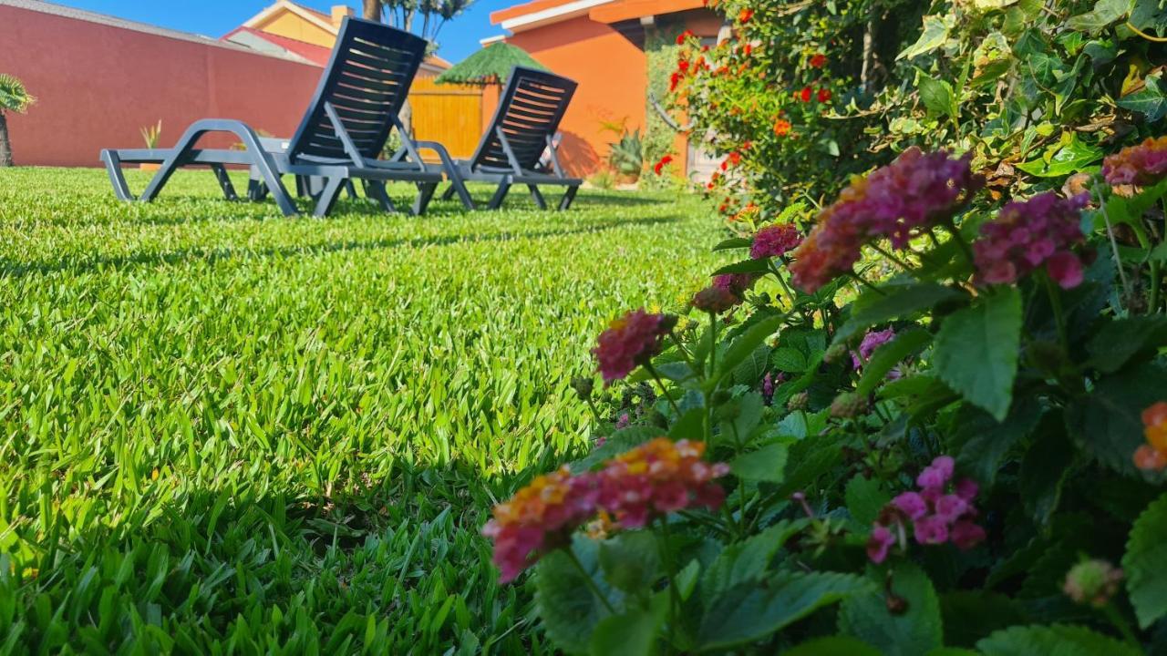 Hollidays Dreams Villa Povoa de Varzim Exterior photo